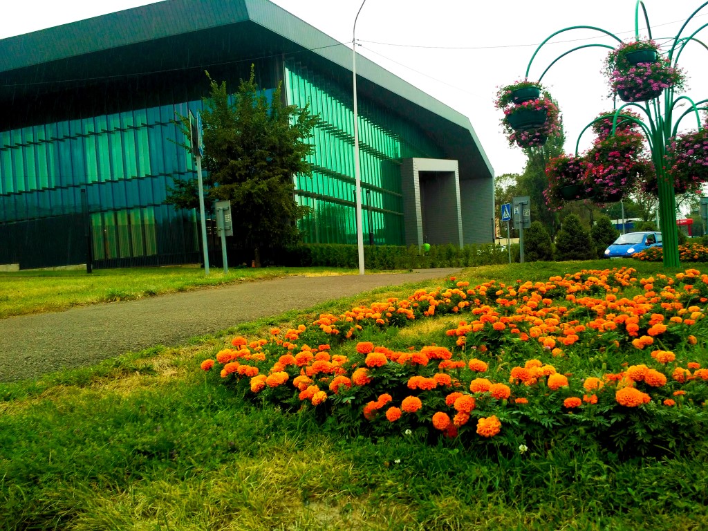 Almaly Office - Almaty